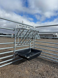 Hanging Hay Feeder with Grain Bin